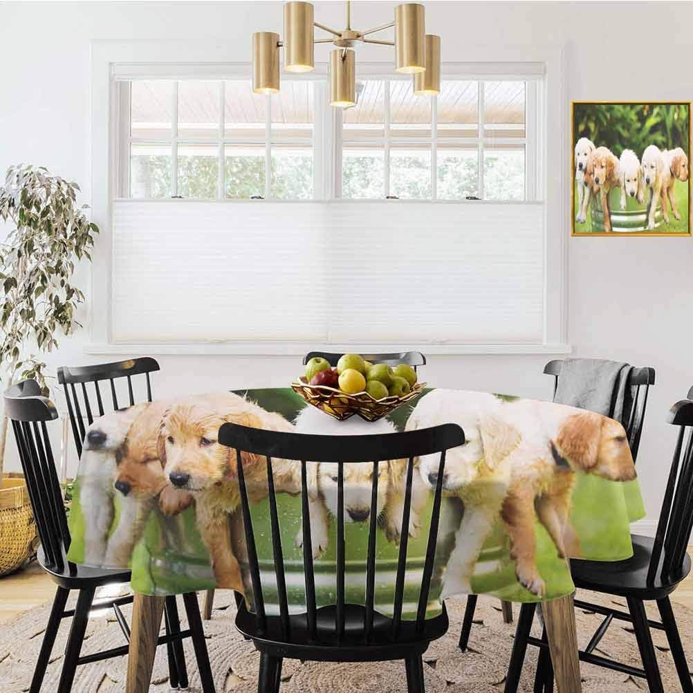 shirlyhome Dog Lover Decor Round Table Cloth Adorable Group of Golden Retriever Puppies in The Yard Spring Friendly Family Friend Round Table Cloth for Birthday Party (Diameter 60")