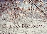 Cherry Blossoms