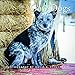 2020 Cow Dogs Calendar by 