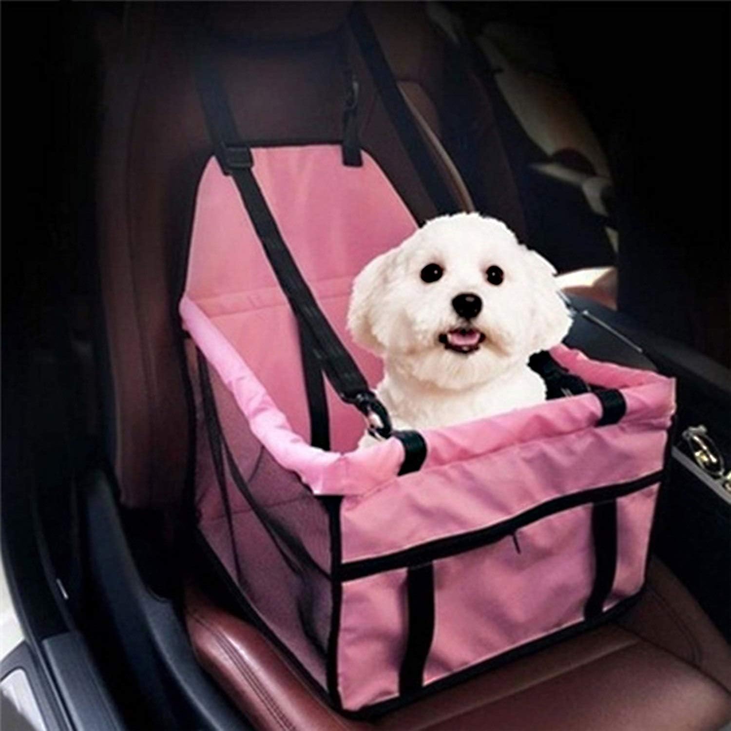 cat car travel accessories