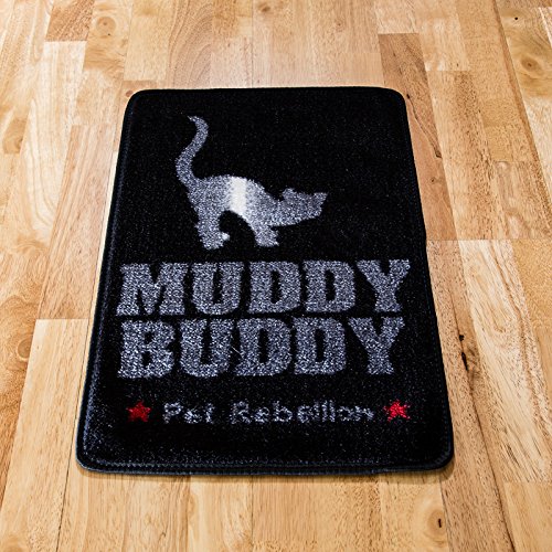 cat flap mat