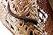 Sonoma (Medium) - Deadwood Trading | Natural Raffia Straw Cowboy Hats for Men & Women | Hit The Beach in Cowboy Style