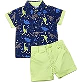 VISGOGO Toddler Baby Boy Flamingo Short Sleeve Button Down Shirt & Casual Shorts Set Summer Outfits 1-6 Years Clothes