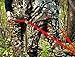Double Deer Drag - The Easiest Way to GET Your Next Deer Out of The Woods ! Finally A Deer Drag That Really Works!!