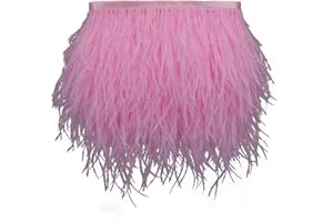 AMZTKDIY Ostrich Feathers Sewing Fringe Trim Ribbon for Crafts Clothes Accessories Latin Wedding Dress DIY 2 Yards 4-6inch Width (2 Yards, Pink)