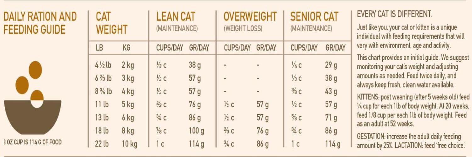 Orijen Nourriture Pour Chat Et Chaton Amazon Fr Animalerie