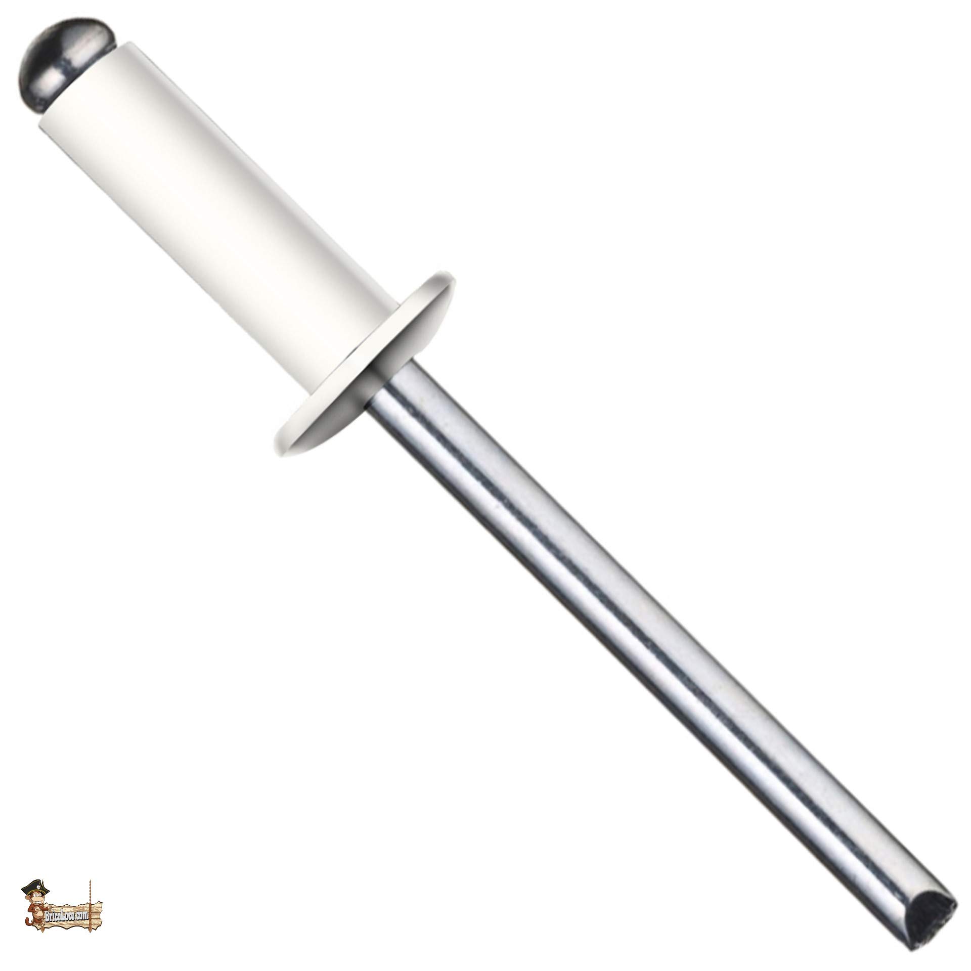 BricoLoco Pop Standard White Tubular Rivet DIN 7337 Blind Round Head Aluminium Steel Shank Industrial Special License Plate (100, 4.8x16)