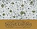 Secret Garden: 12 Notecards by 