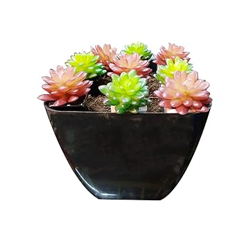 Artificial Succulent Plants With Pot Of Home Office Decoration
