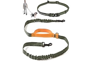 PET DREAMLAND Exquisite Hands-Free Dog Leash for Medium Dogs: Perfect for Active Pet Owners Comfortable, Durable & Ideal for Running, Walking, Hiking. Premium Dog Waist Leash with Bungee. Must-Have Dog Gear