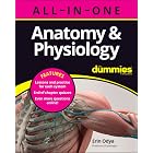 Anatomy &amp; Physiology All-in-One For Dummies (+ Chapter Quizzes Online)