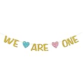 "We Are One" Gold Glitter Banner - DIY First Birthday Decoration For Twins