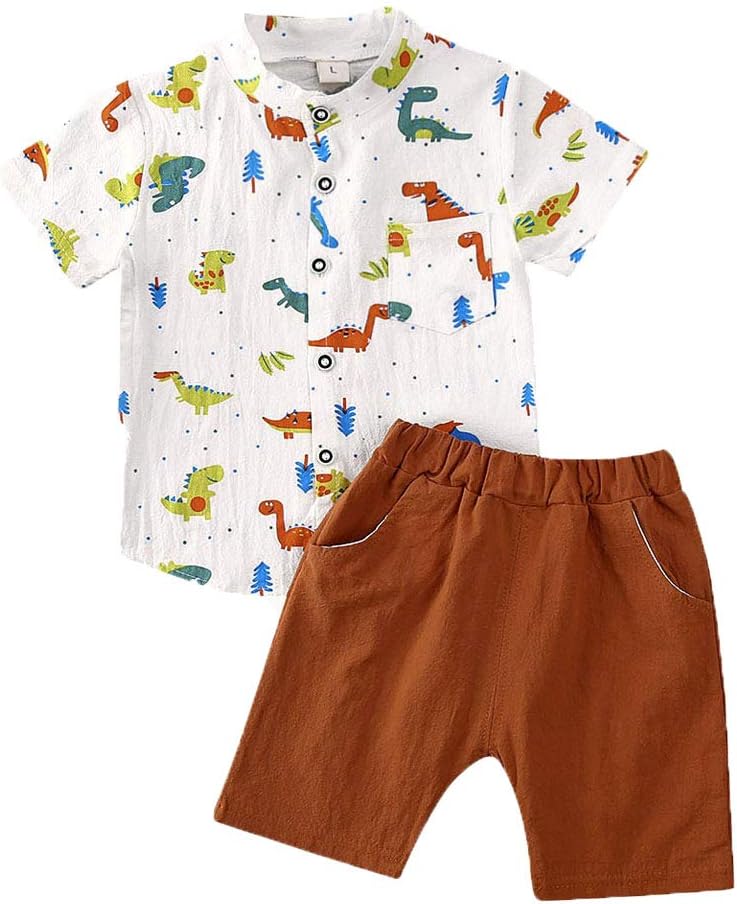 Hailouhai Toddler Baby Cute Boy Clothes, Summer Short Sleeve Cartoon Dinosaur Pattern T-Shirt Top+Short Pants 2Pcs Outfits Set