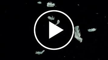 A video posted by the author.