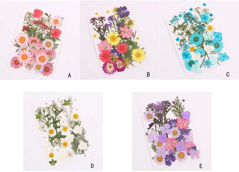 yeehao Pressed Flower Mixed Organic Natural Dried Flowers DIY Art Floral Decors Collection Gift Style E
