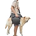 COODEO Dog Carry Sling, Emergency Backpack Pet Legs Support & Rehabilitation Dog Lift Harness for Nail Trimming, Dog Carrier for Senior Dogs Joint Injuries, Arthritis, Up and Down Stairs(2XL, Black)