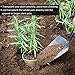 GROWNEER 4 Inch 60 Pcs Peat Pots Seed Starter