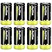 RayHom C Rechargeable Battery 5000mAh Ni-MH High Capacity Battery (8 Pack)