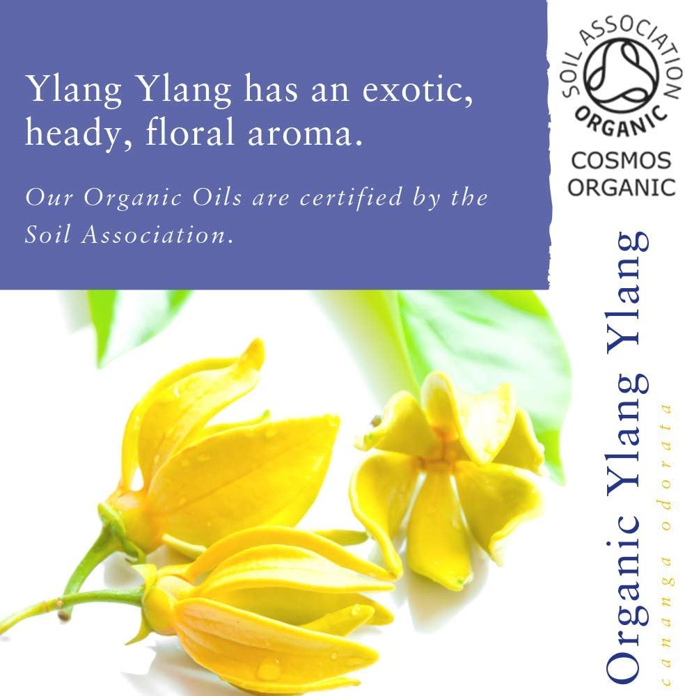 Absolute Aromas Ylang Ylang Essential Oil, 100% Pure, Natural and Certified Organic for Aromatherapy Diffusers - Image 3