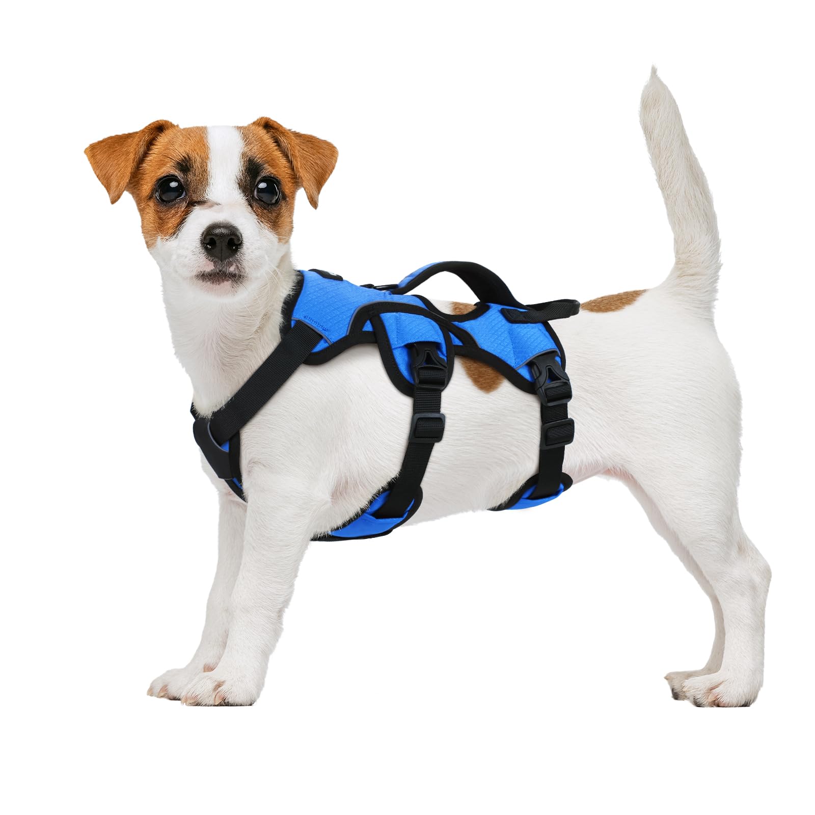 rabbitgoo Escape-Proof Dog Harness Small Dog with Handle, Adjustable No Pull Harness, Breathable Pets Vest for Working Service Pet, Reflective Lift Support Body Vest Outdoor, S, Blue — image 1