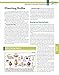 Annuals, Perennials & Bulbs for Your Home: Designing, Planting & Maintaining Your Flower Garden