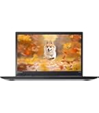 Amazon.com: Lenovo 2023 High Performance 14'' Full HD IPS Laptop