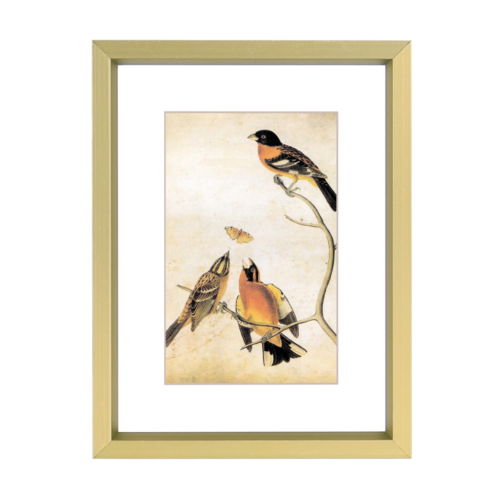 Photo 1 of 3x4 Picture Frame, Brass Metal Photo Frames with HD Glass, Fits 2x3 with Mat or 3 x 4 without Mat, Display for Wall and Table, 1 Pack