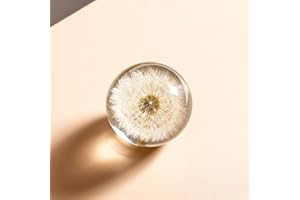 DESHINTKE Real Dandelion Specimen Ball Paperweight Desktop Decor Decoration (Medium)