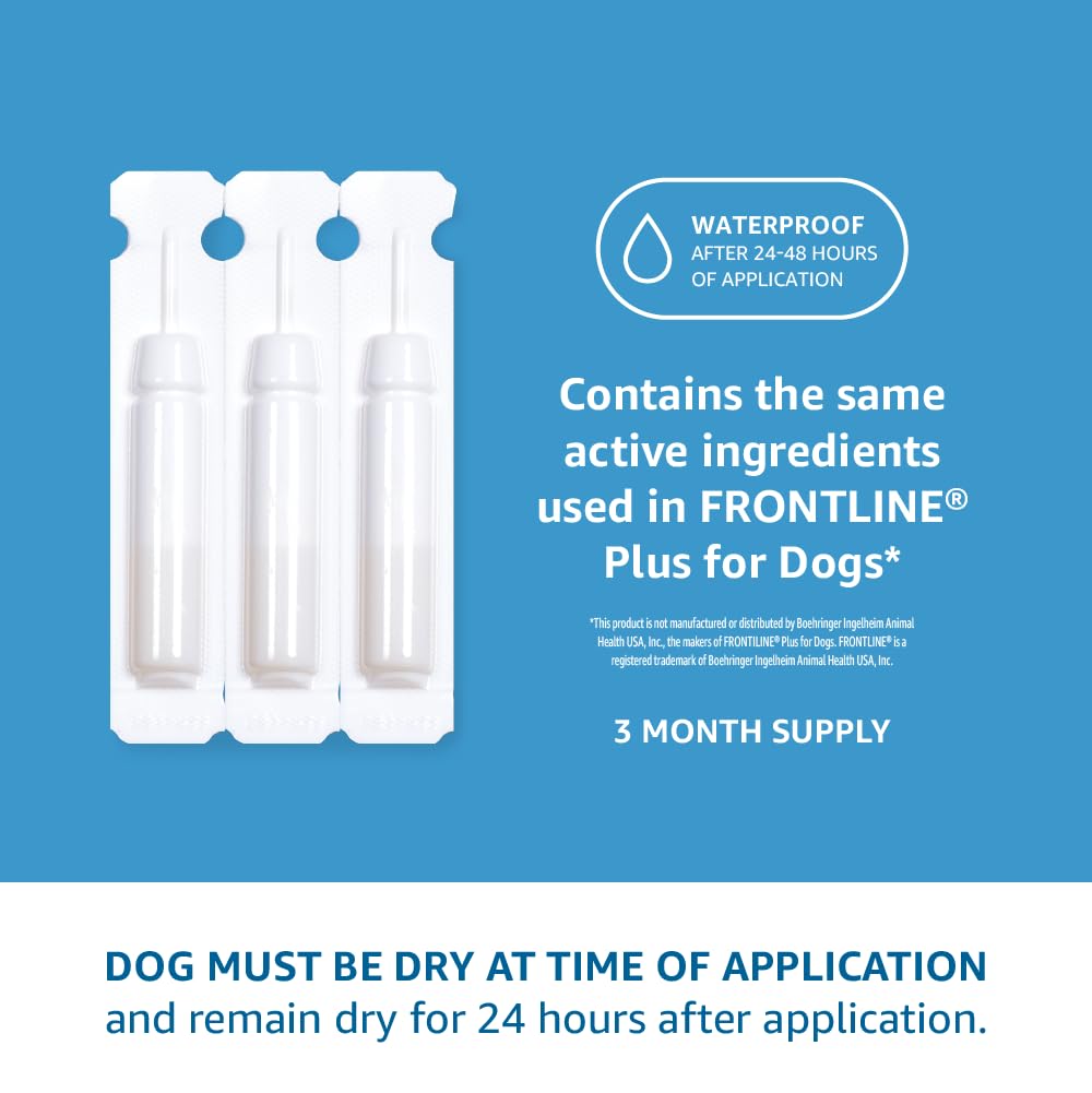 Amazon Basics Flea Amazon Flea And Tick Medicine For Dogs Amazon