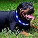 LED Dog Collar,USB Rechargeable Glowing Dog Collars, Light Up Collar Improved Pet Safety &Visibility at Night, 3 Flashing Modes,Water-Resistant Lighted Collar Fits For Small Medium Large Dogs