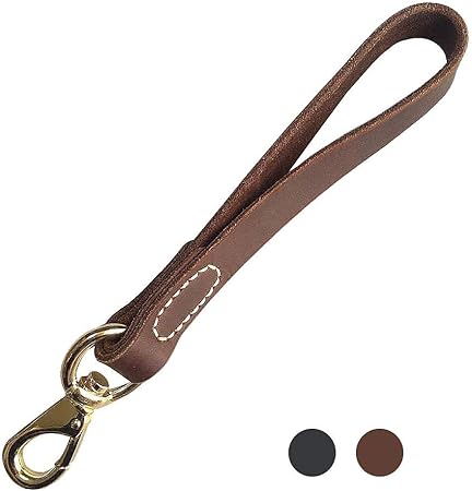 short leather leash
