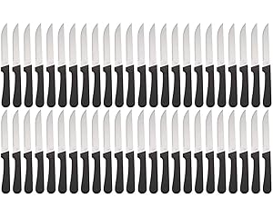 (Set of 48) Seratted-Edge Pointed-Tip Steak Knives, 5-Inch Stainless Steel Blade Steak Knives with Plastic Handles for Restaurants