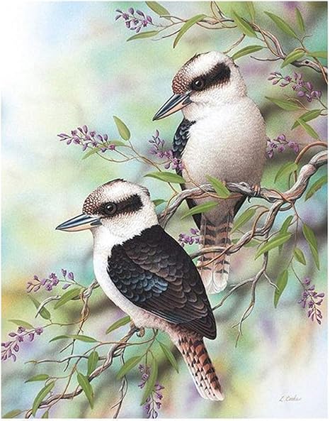 Birds Colorful Paint By Numbers Kits Diy Number Canvas Painting Hand Painted On Ebay