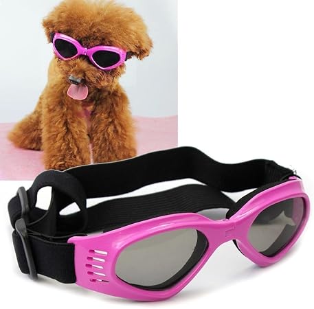 pink dog sunglasses