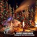 Xmas Light ST001 (Red & Green)