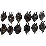 61MFlQO+ FL. AC UL160 SR160,160 Do Voodoo Curses Exist? What You Should Know