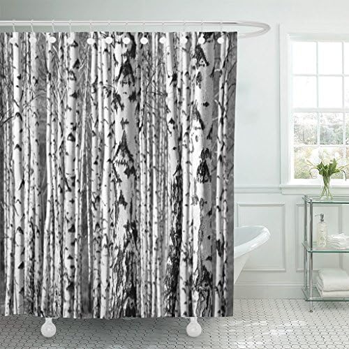 VaryHome Shower Curtain Forest Birch Trees Trunks Black and White Natural Tranquil Winter Waterproof Polyester Fabric 60 x 72 Inches Set with Hooks
