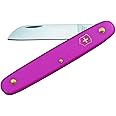 Blumenmesser, gerade Klinge, 55 mm, pink, Blister