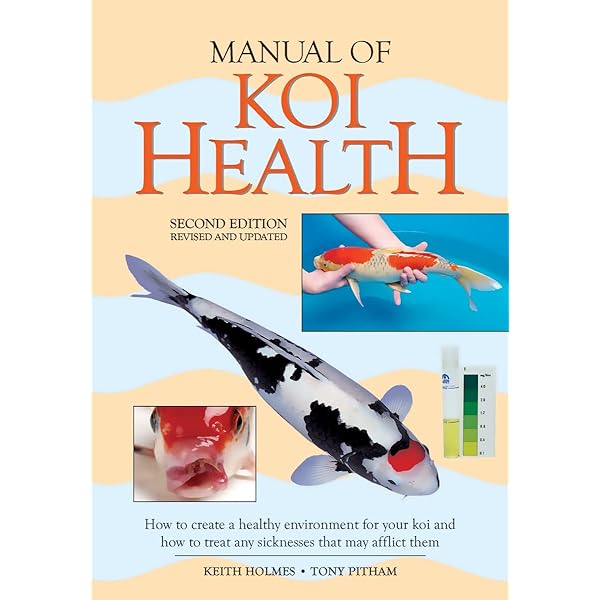 Koi Carp Ulcer Treatment Guide (Safe Methods)