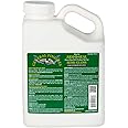 General Finishes Arm-R-Seal Oil Based Topcoat, 1 Gallon, Semi-Gloss