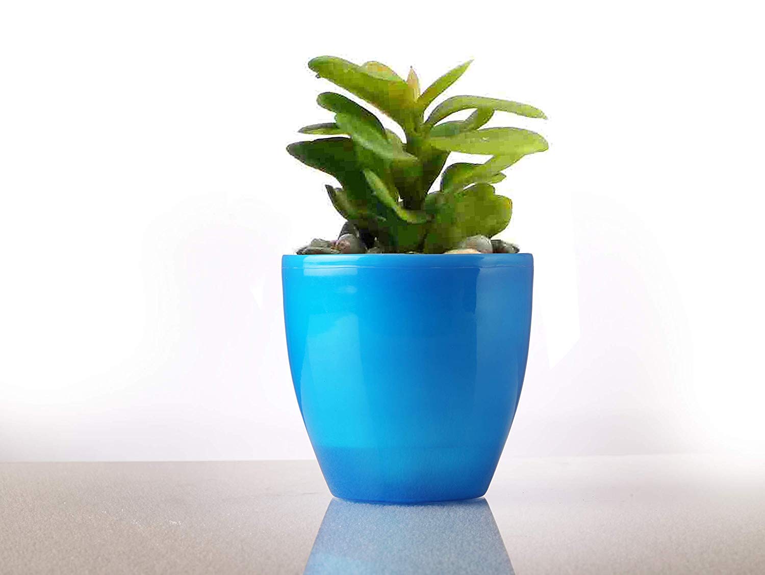 Self Watering Plant Pots Blue Colour Pack Of 5 Set Outer Colored Pot Inner Black Pot Kerala Agro Organics Blue 5 Amazon In Garden Outdoors