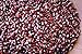 Rancho Gordo Crimson Popping Corn, Five Pack