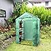 Ohuhu Small Walk-in Plants Greenhouse, 3-Tier 6-Shelf Stands Garden Green House, 56.3