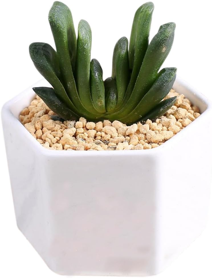 Ruikey 1 Pcs Solid Color Flower Pots White Porcelain Hexagon Vase Exquisite Artificial Flowers Pots Plant Container for Decoration