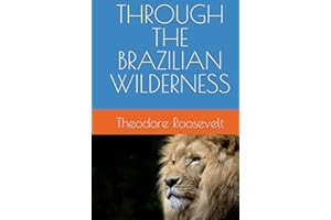 kindle best category lists