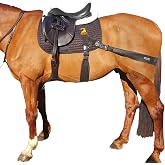 Equine Balance Bands Core Conditioning Saddle Pad &amp; Band System for Horses