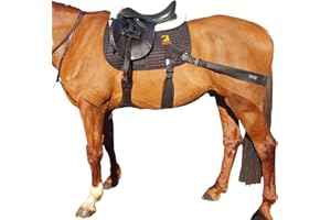 Equine Band System. Core Training aid for Lunging and Riding Horses. All Purpose Saddle pad and pro Grade Bands by Equine Bal