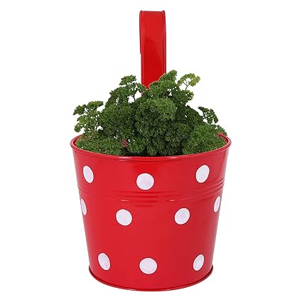 BLESSY Round Shape Dotted Metal Railing /Hanging Planter/Container/Pot for Home/ Balcony Garden Set of 1 (Red)