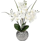 Briful Orchids Artificial Flowers, 20'' White Faux Orchid with Silver Vase Fake Phalaenopsis Flowers for Home Table Living Room Office Kitchen Decor