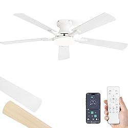 ZMISHIBO 52 Inch Ceiling Fan with Light, App&Remote